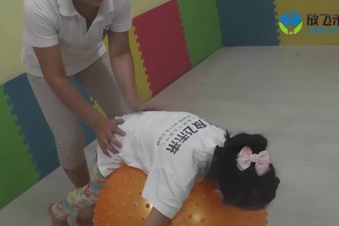 俯卧与仰卧大龙球
