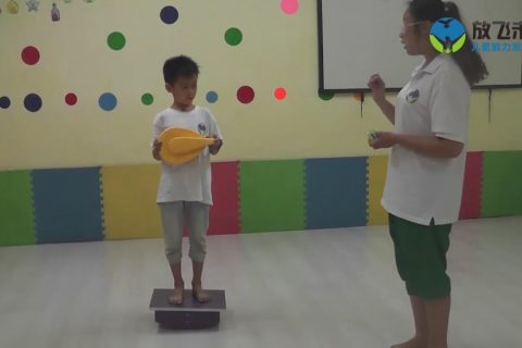 站或坐平衡台玩上下转盘