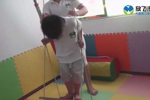 站立四足位摇晃和旋转