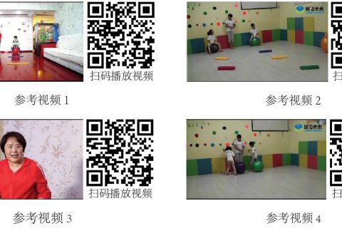 感觉统合训练教案第17次
