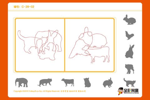 C级 第15次训练