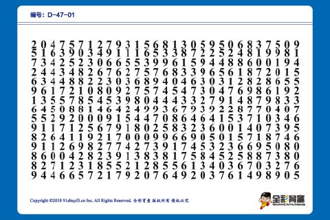 D级 第24次训练