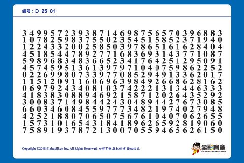 D级 第13次训练
