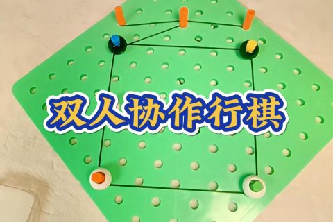 双人协作行棋