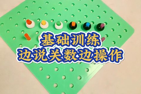 基础训练边说关数边操作