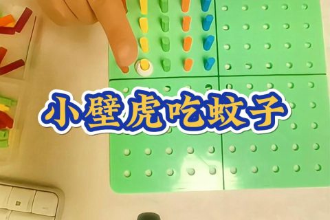 小壁虎吃蚊子