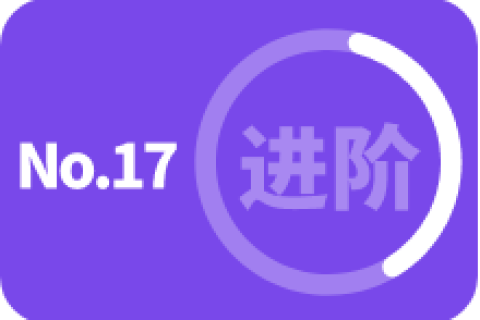 进阶级 第十七次训练