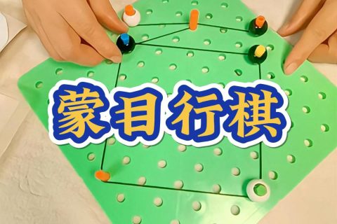 蒙目行棋