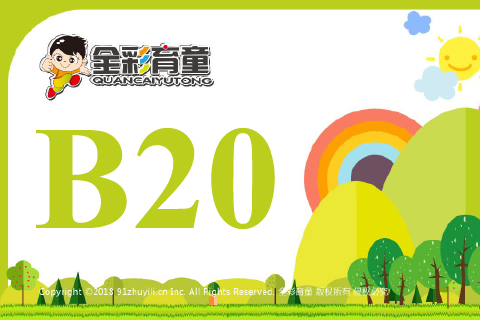 数字镜像B20