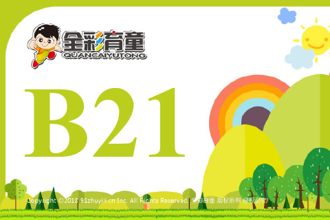 数字镜像B21