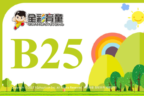 数字镜像B25