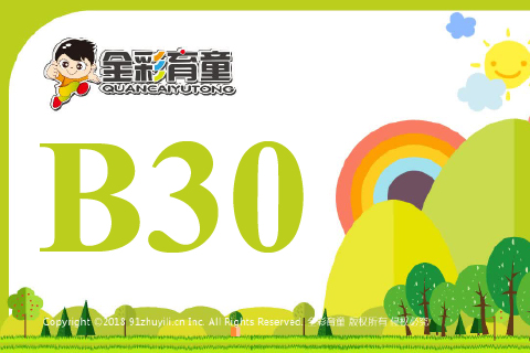 数字镜像B30