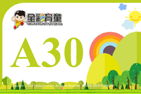 数字镜像A30