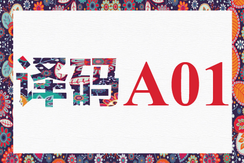 译码 A01