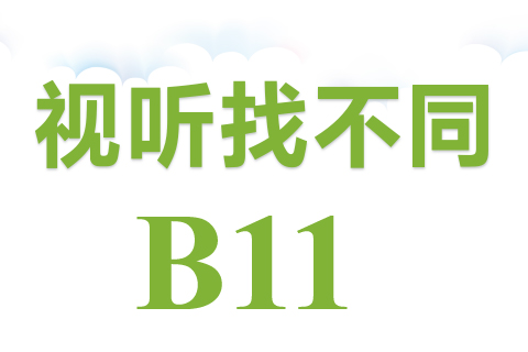 视听找不同 B11