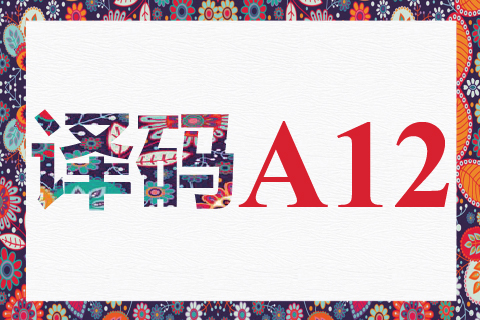 译码 A12