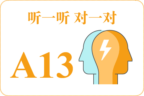 听一听 对一对A13