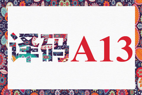 译码 A13