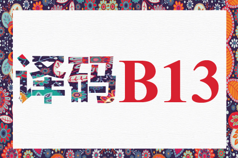译码 B13