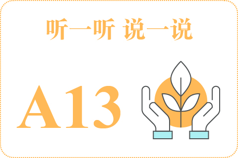 听一听 说一说A13