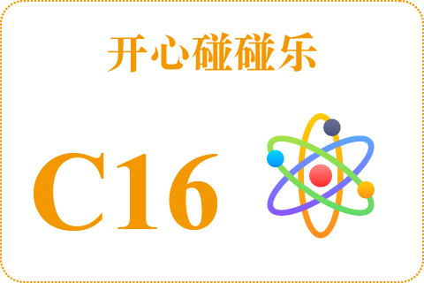 开心碰碰乐 C16