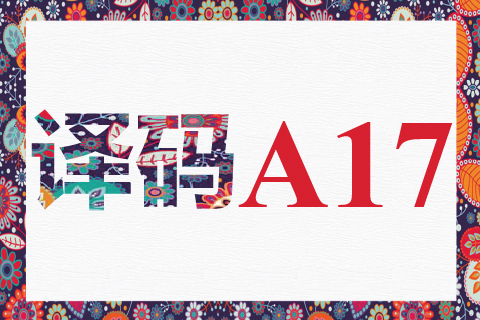 译码 A17