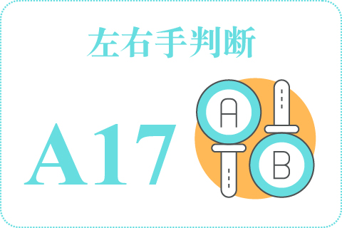 左右手判断 A17