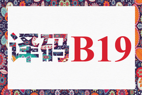 译码 B19