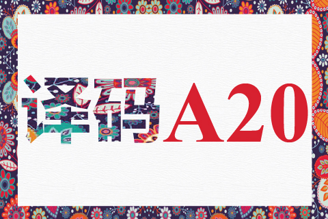译码 A20