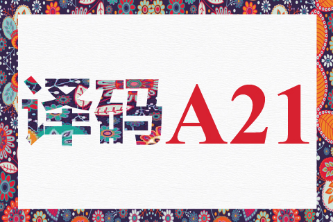 译码 A21