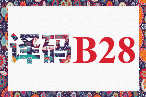 译码 B28