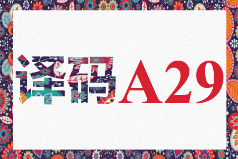 译码 A29