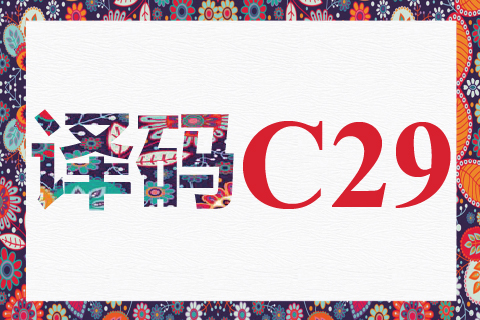 译码 C29
