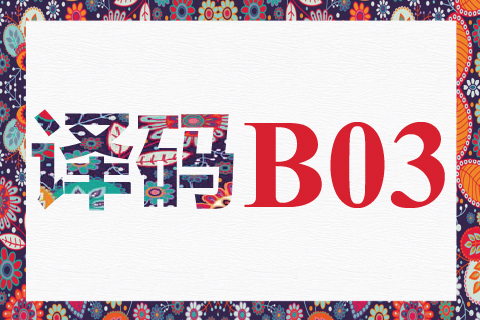 译码 B03