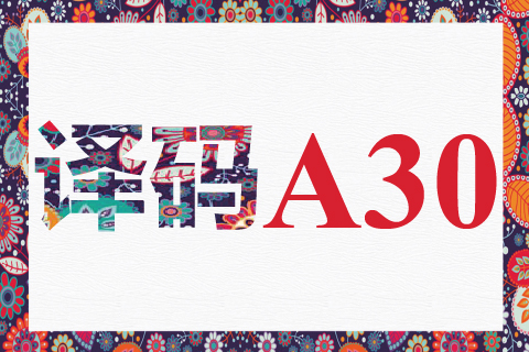 译码 A30
