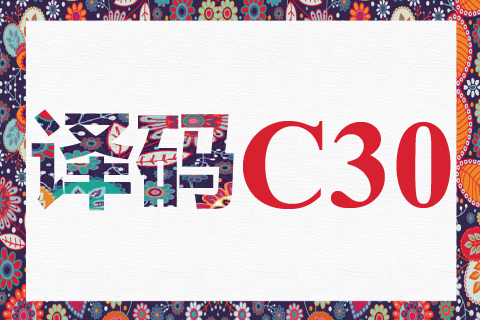 译码 C30