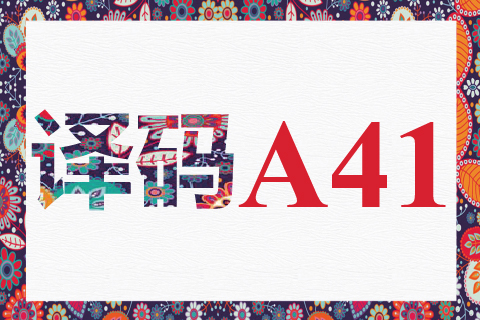 译码 A41