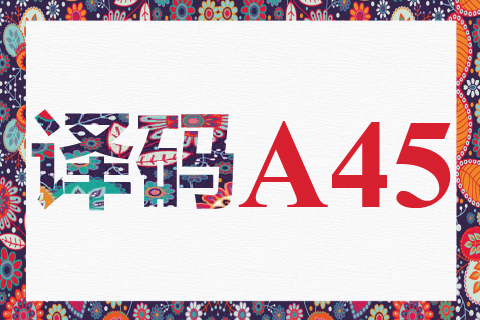 译码 A45