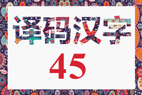 译码汉字 45