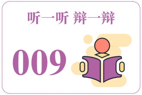听一听辩一辩009