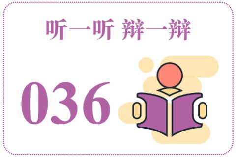 听一听辩一辩036