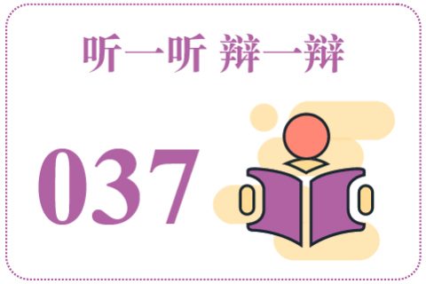 听一听辩一辩037