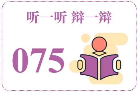 听一听辩一辩075