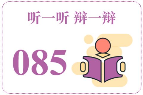 听一听辩一辩085
