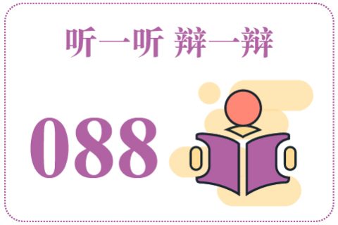 听一听辩一辩088