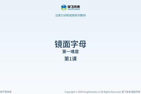 镜面字母001