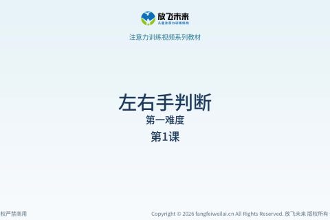 左右手判断001