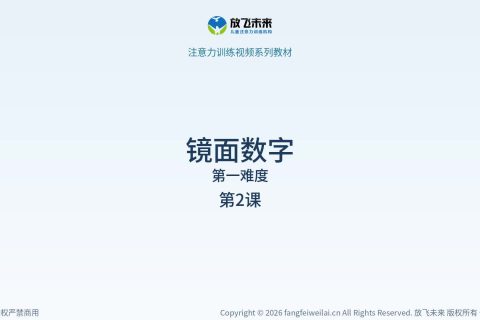 镜面数字002