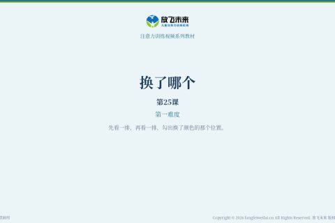 换了哪个025