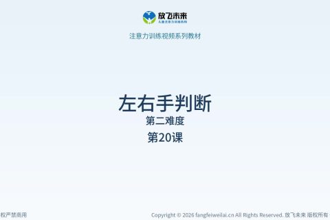 左右手判断045